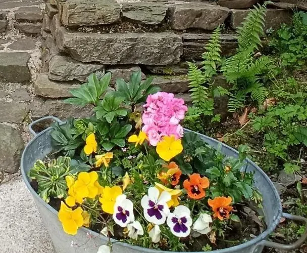 Tatil Evi De La Semoy